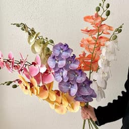 Hoa Lan Hồ Điệp chất liệu cao su hoa giả cao cấp, cành 9 bông dài 98cm trang trí sự kiện decor store chụp ảnh quay video 1