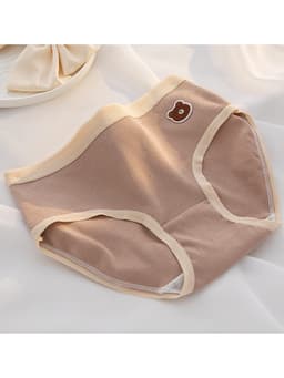 Sét 10 Quần Lót Nữ Cotton Gân Tăm Hoạ Tiết Gấu Tông Màu Nâu dễ Thương 5A 4