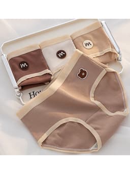 Sét 10 Quần Lót Nữ Cotton Gân Tăm Hoạ Tiết Gấu Tông Màu Nâu dễ Thương 5A 8