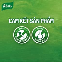 Bột Thịt Gà Knorr Professional 1kg - Chuyên Dùng Cho Nấu Ăn 6