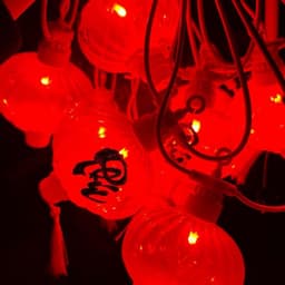 Dây đèn LED lồng đèn đỏ chữ Phúc D7 Tròn Trụ trang trí lễ Tết 10 quả đèn dài 5m cắm điện 1