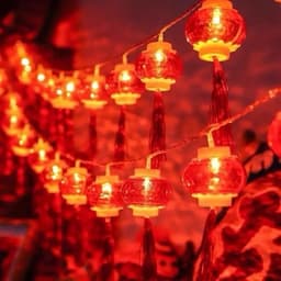 Dây đèn LED 5m 12 quả đèn lồng mini đỏ may mắn trang trí Tết 2 lớp cắm điện tiện lợi cho lễ Tết 4