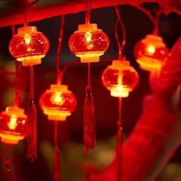 Dây đèn LED 5m 12 quả đèn lồng mini đỏ may mắn trang trí Tết 2 lớp cắm điện tiện lợi cho lễ Tết 5