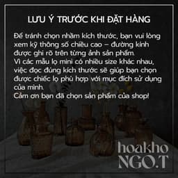 Lọ thuỷ tinh mini màu hổ phách - Màu nâu cam - Tổng hợp nhiều mẫu lọ thuỷ tinh decor 2