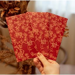 Set 60 bao lì xì tết 2026 – mẫu đẹp mới, may mắn – thích hợp mừng tuổi, biếu tặng 2