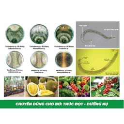 Nấm đối kháng Trichoderma Điền Trang dạng nước tăng cường hệ vi sinh cho đất chai 100ml 2