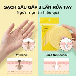 Gói 12 Miếng bông nở rửa mặt JYoohome Mút bọt biển tẩy trang dạng nén bỏ túi mini tiện lợi 2