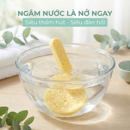 Gói 12 Miếng bông nở rửa mặt JYoohome Mút bọt biển tẩy trang dạng nén bỏ túi mini tiện lợi 7