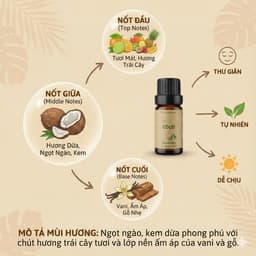 Tinh Dầu Thơm Phòng - Hương Khách Sạn Cao Cấp - Khử Mùi, Thư Giãn (10ml) 6