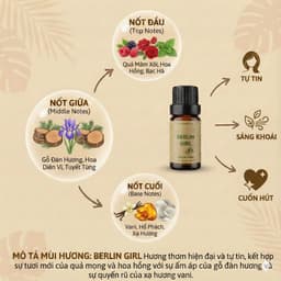 Tinh Dầu Thơm Phòng - Hương Khách Sạn Cao Cấp - Khử Mùi, Thư Giãn (10ml) 8