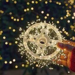 Đèn Led Trang Trí Hạt Gạo Chống Nước Dây Đồng Xanh 10m 20m 30m USB pin Fairy Light Quấn Cây Thông Xương Cá 1