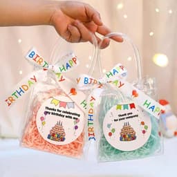 Combo 10💕💕💕Túi nhựa PVC, túi xách mua sắm, đựng quà tặng trong suốt có nhiều kích thước lựa chọn 3