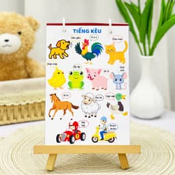 Thẻ Flash EVON BABY dạy bé tập nói -  CHỦ ĐỀ NHẬN BIẾT 7