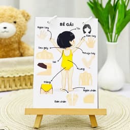 Thẻ Flash EVON BABY dạy bé tập nói -  CHỦ ĐỀ NHẬN BIẾT 8
