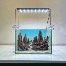 Layout Thuỷ Sinh Hẻm Núi Ver.6 | Nghệ Thuật Tái Tạo Lại Cảnh Quan Từ Gỗ Lũa | RF Aquarium 5