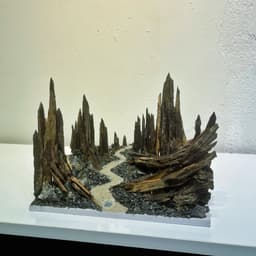 Layout Thuỷ Sinh Hẻm Núi Ver.6 | Nghệ Thuật Tái Tạo Lại Cảnh Quan Từ Gỗ Lũa | RF Aquarium 4