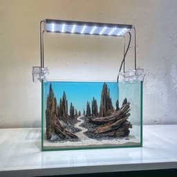 Layout Thuỷ Sinh Hẻm Núi Ver.6 | Nghệ Thuật Tái Tạo Lại Cảnh Quan Từ Gỗ Lũa | RF Aquarium 6