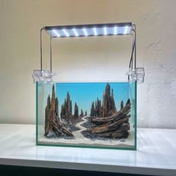 Layout Thuỷ Sinh Hẻm Núi Ver.6 | Nghệ Thuật Tái Tạo Lại Cảnh Quan Từ Gỗ Lũa | RF Aquarium 7