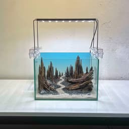 Layout Thuỷ Sinh Hẻm Núi Ver.6 | Nghệ Thuật Tái Tạo Lại Cảnh Quan Từ Gỗ Lũa | RF Aquarium 8