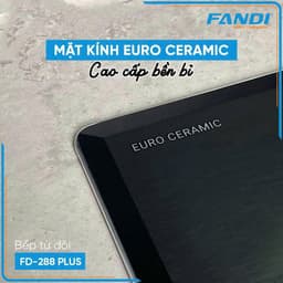 Bếp từ FANDI 288PLUS / Mặt kính chống xước / Bảo hành 3 năm tại nhà 4