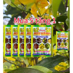 (COMBO 5 TẶNG 1) SIÊU DƯỠNG NỤ MAI GIÚP MẬP NỤ BUNG TƯỢC MẬP CHỒI XANH LÁ GÓI 25GR 1