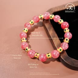 Ngọc Đan Tâm - Vòng Tay Tường Vi 9mm 5A Phối Charm Đính Đá - Mệnh Hoả & Mệnh Thổ 2