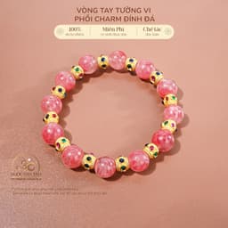 Ngọc Đan Tâm - Vòng Tay Tường Vi 9mm 5A Phối Charm Đính Đá - Mệnh Hoả & Mệnh Thổ 1