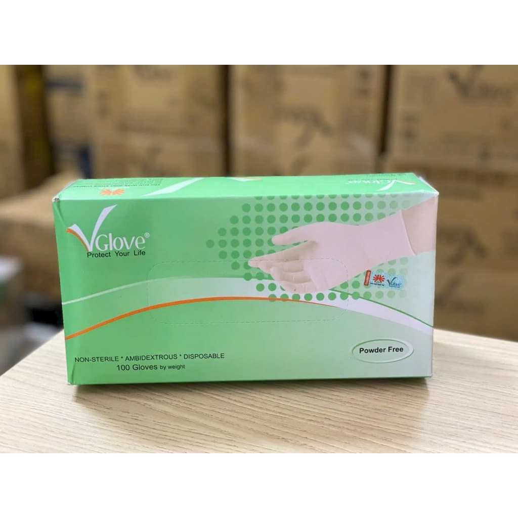 Găng vglove không bột