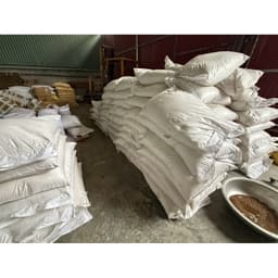 [Hàng loại 1] Bông tuyết trắng phau - cánh to - trộn mồi câu cá 7