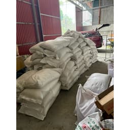 [Hàng loại 1] Bông tuyết trắng phau - cánh to - trộn mồi câu cá 8