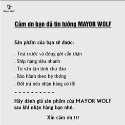 Đèn năng lượng mặt trời Mayor Wolf công suất 100w, 200w, 300w, 500w 9