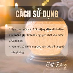Đèn Xông Tinh Dầu Điện Gốm Sứ Bát Tràng Thấu Quang | Đèn Ngủ Thơm Phòng 3