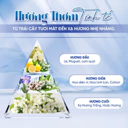 Dầu gội, xả Truest by S FREE cao cấp phục hồi tóc khô xơ & hư tổn- mùi xạ hương 480ml (Roland) 5
