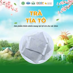 Trà Tía Tô Siêu Thị Thiên Nhiên - Hộp 30 Túi Lọc 2