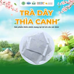 Trà Dây Thìa Canh Hộp 30 Túi Lọc 3Gram Siêu Thị Thiên Nhiên 2