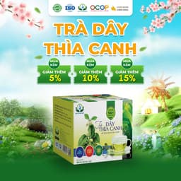 Trà Dây Thìa Canh Hộp 30 Túi Lọc 3Gram Siêu Thị Thiên Nhiên 1