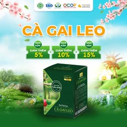 Trà Cà Gai Leo Hoa Cúc Cỏ Ngọt Hộp 30 Gói 5Gram Siêu Thị Thiên Nhiên 1