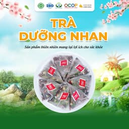 Trà Dưỡng Nhan Thanh Mát Cho Ngày Mới Thư Thái Hộp 30 Túi Lọc 360gram 2