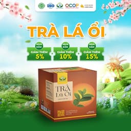 2 Hộp Trà Lá Ổi Cỏ Ngọt Thanh Mát Cho Ngày Mới Thư Thái Hộp 30 Túi Lọc 90gram 1