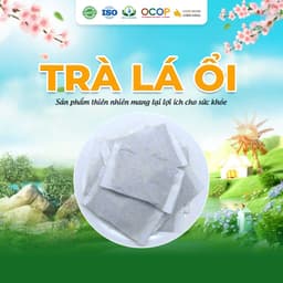 2 Hộp Trà Lá Ổi Cỏ Ngọt Thanh Mát Cho Ngày Mới Thư Thái Hộp 30 Túi Lọc 90gram 2