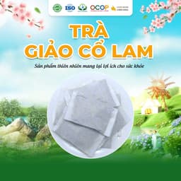 Trà Giảo Cổ Lam Siêu Thị Thiên Nhiên - Hộp 30 Túi Lọc x 3g 2