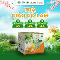 Trà Giảo Cổ Lam Siêu Thị Thiên Nhiên - Hộp 30 Túi Lọc x 3g 1