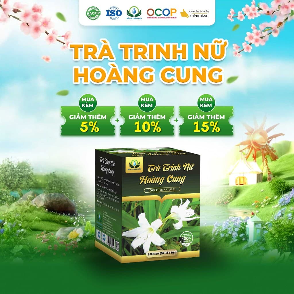Trà Trinh Nữ Hoàng Cung Hộp 30 Túi Lọc Siêu thị Thiên Nhiên