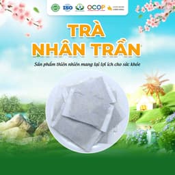 Trà Nhân Trần Cam Thảo  Hộp 30 Túi Lọc – Siêu Thị Thiên Nhiên 2