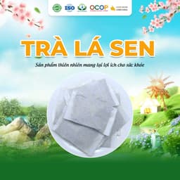 Trà Lá Sen Siêu Thị Thiên Nhiên Hộp 30 Túi Lọc 2