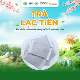 Trà Lạc Tiên Cỏ Ngọt Thanh Mát Cho Ngày Mới Thư Thái Hộp 30 Túi Lọc 90gram 2