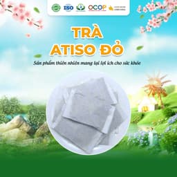 Trà Hoa Atiso Đỏ Siêu Thị Thiên Nhiên - Hộp 30 Túi Lọc 2