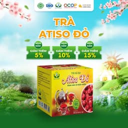 Trà Hoa Atiso Đỏ Siêu Thị Thiên Nhiên - Hộp 30 Túi Lọc 1