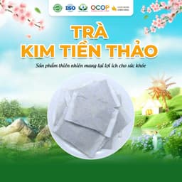Trà Kim Tiền Thảo Cỏ Ngọt Thanh Mát Cho Ngày Mới Thư Thái Hộp 30 Túi Lọc 90gram 2