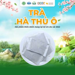 Trà Hà Thủ Ô Siêu Thị Thiên Nhiên - Hộp 30 Túi Lọc x 3Gram 2